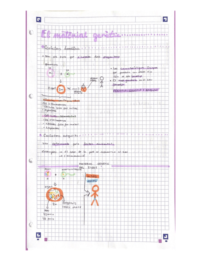 Miniatura del documento El-material-genetic-2.pdf