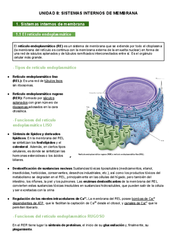 Miniatura del documento UNIDAD-8-SISTEMAS-INTERNOS-DE-MEMBRANA.pdf