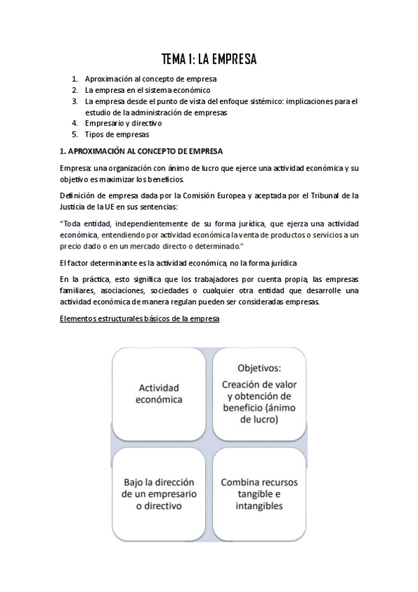 Miniatura del documento TEMA-1-LA-EMPRESA.pdf