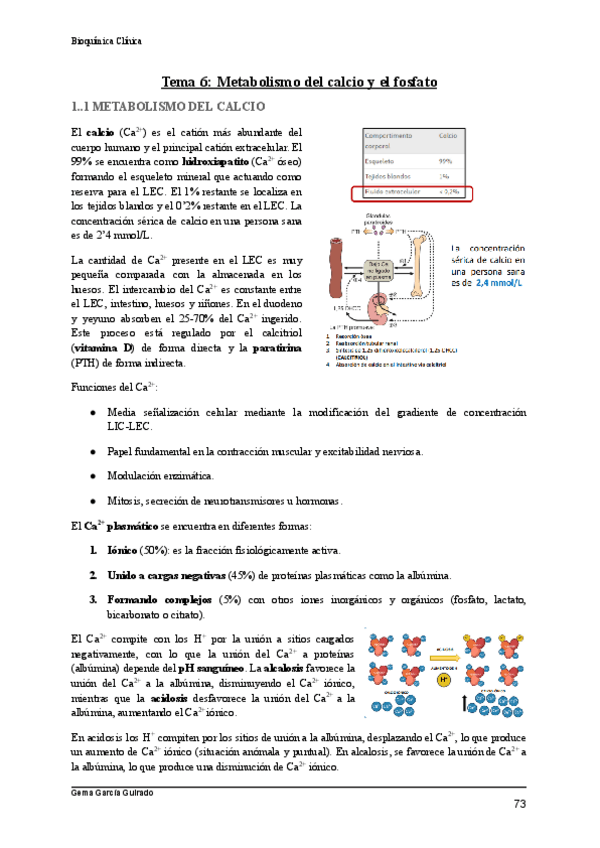 Miniatura del documento TEMA-6-CALCIO-Y-FOSFATO-BIOQUIMICA-CLINICA.pdf
