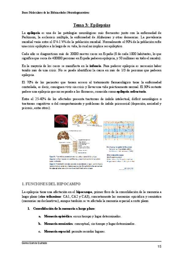 Miniatura del documento TEMA-3-EPILEPSIA-BASES-MOLECULARES-DE-LAS-ENFERMEDADES-NEURODEGENERATIVAS.pdf