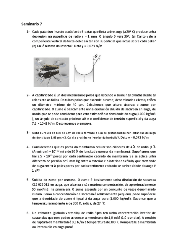 Miniatura del documento Fisica-Seminario-7.pdf