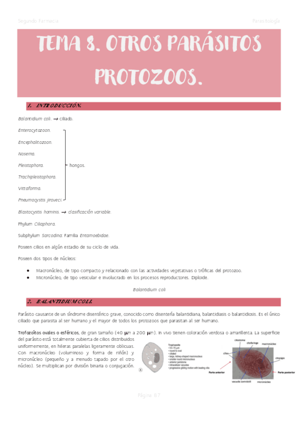 Miniatura del documento Tema-8.-Otros-parasitos-protozoos..pdf