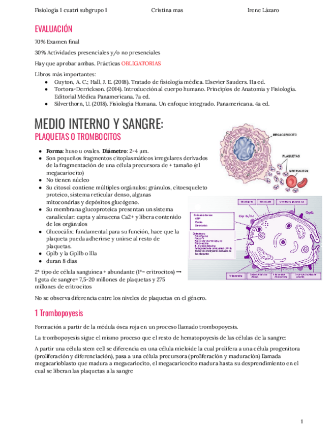 Miniatura del documento FisiologiaSangre-3-Y-45Oct-y-10Oct.pdf