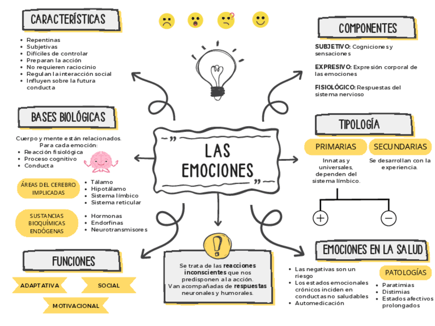 Miniatura del documento Infografia-EMOCIONES-Cuadernillo.pdf