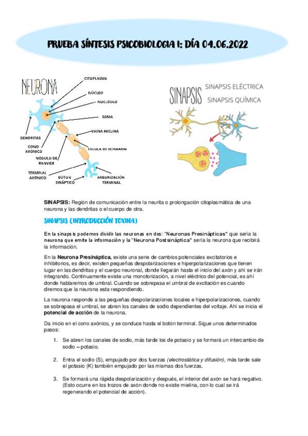 Miniatura del documento Resumen-PS-Psicobiologia-I.pdf