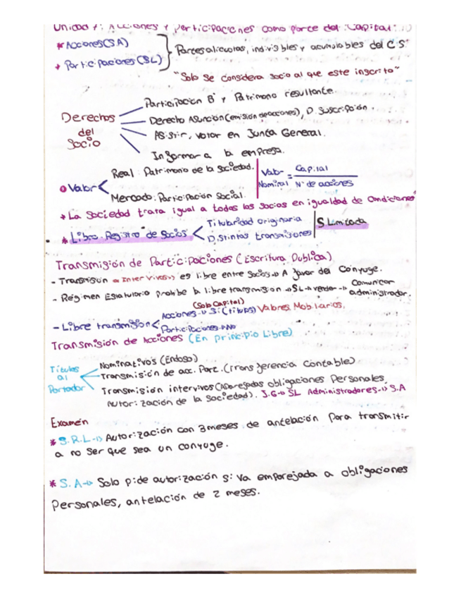 Miniatura del documento Derecho.pdf