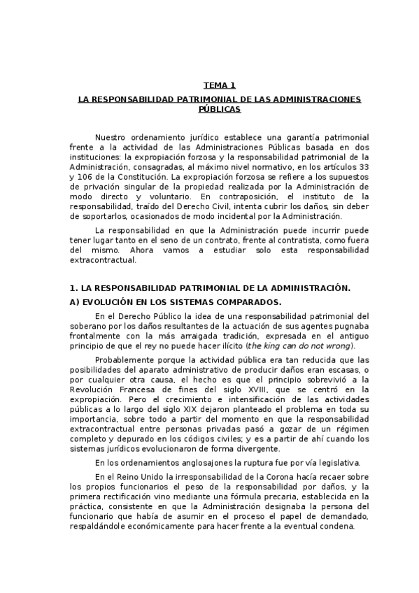 Miniatura del documento T1-Responsabilidad.docx