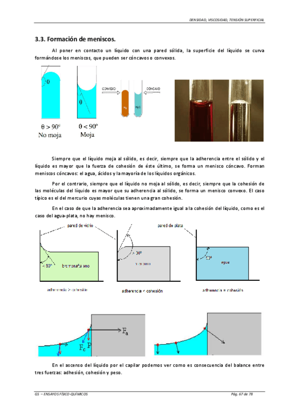 Miniatura del documento ESTADO-LIQUIDO-GS-67.pdf