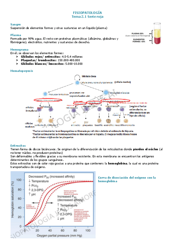 Miniatura del documento FISIOPATO-T2.1-enfsandra.pdf