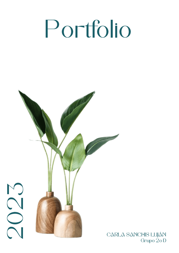 Miniatura del documento PORTFOIO-1.pdf