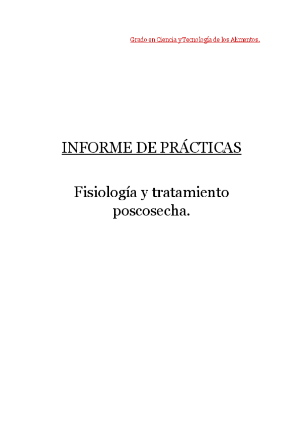 Miniatura del documento Informe-de-practicas.pdf