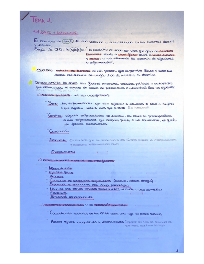 Miniatura del documento TEMA-1.pdf