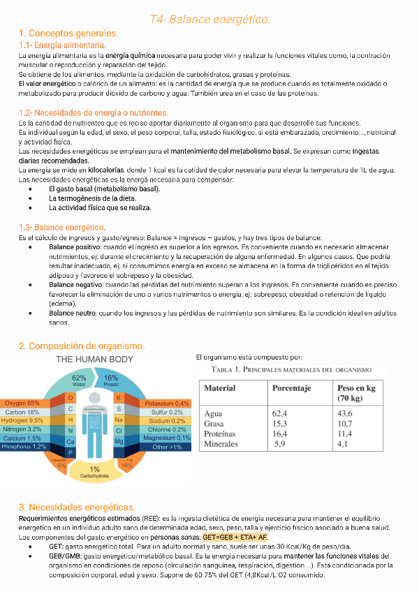 Miniatura del documento T4-Balance-energetico240212134921.pdf