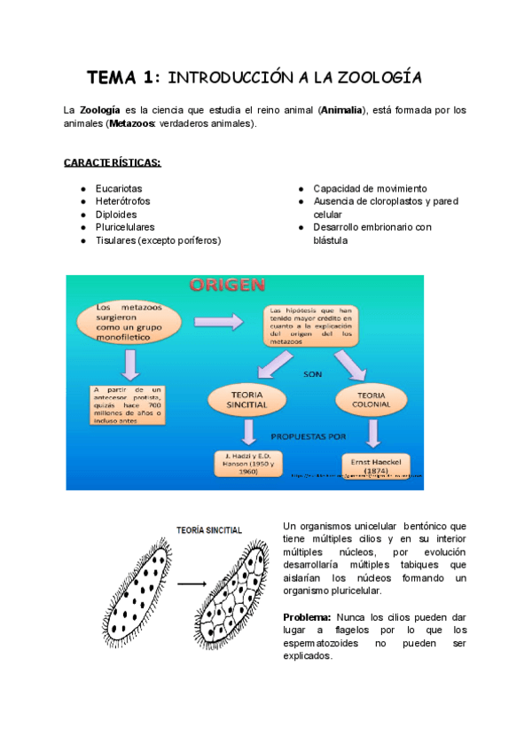 Miniatura del documento TEMA-1-Zoo.pdf