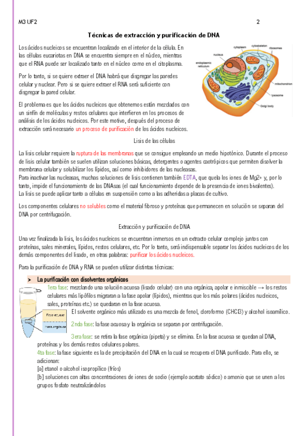 Miniatura del documento Tecnicas-de-extraccion-y-purificacion-de-DNA.pdf