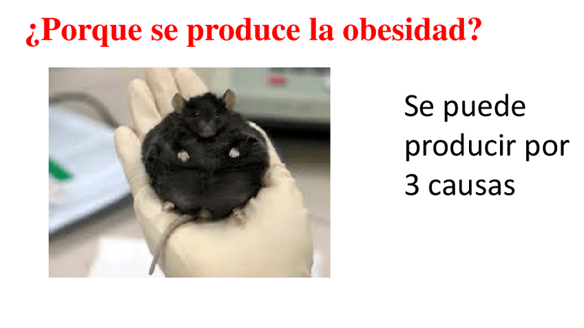 Miniatura del documento Por-que-se-produce-la-obesidad.pdf