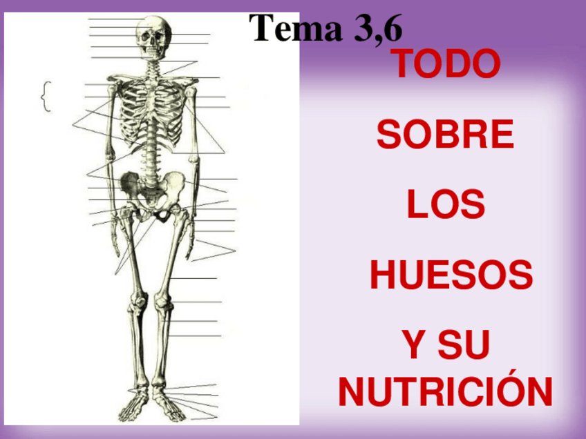 Miniatura del documento Tema-3.6-dietetica-y-enfermedades-oseas.pdf