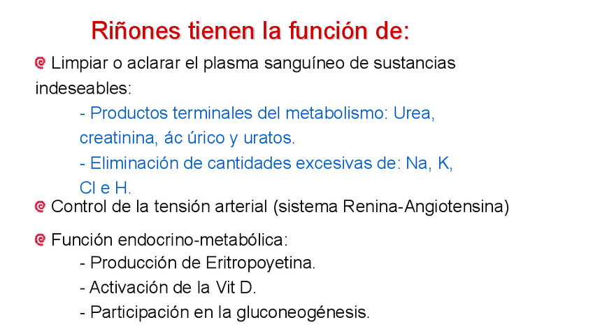 Miniatura del documento DUDAS-DE-DIETA-EN-ENFERMEDAD-RENAL.pdf
