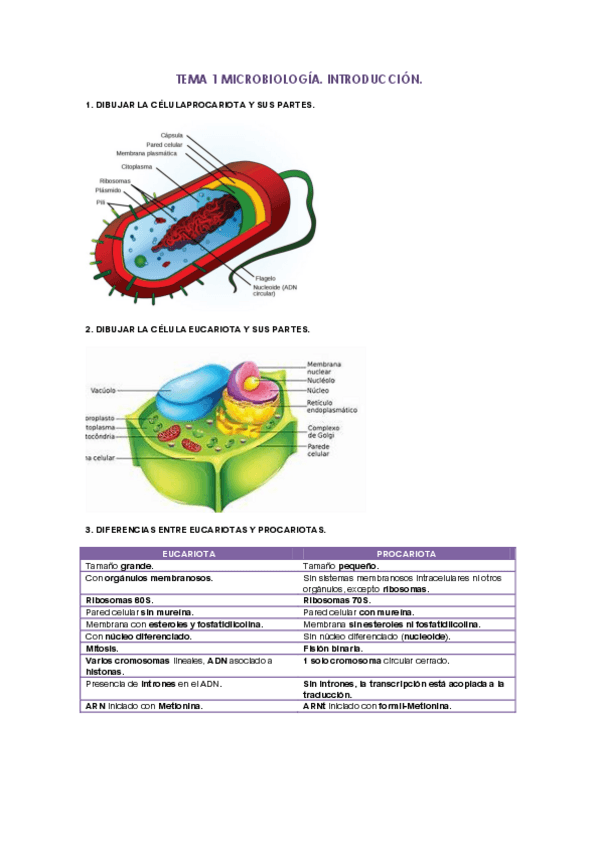Miniatura del documento micro.pdf