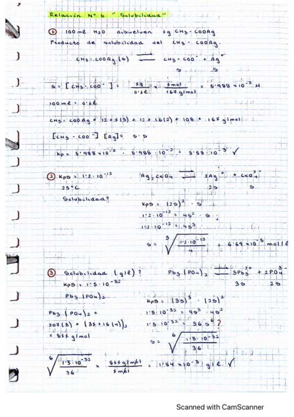 Miniatura del documento Relación Nº 6 (Solubilidad).pdf