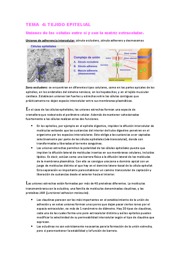 Miniatura del documento TEMA-4.pdf