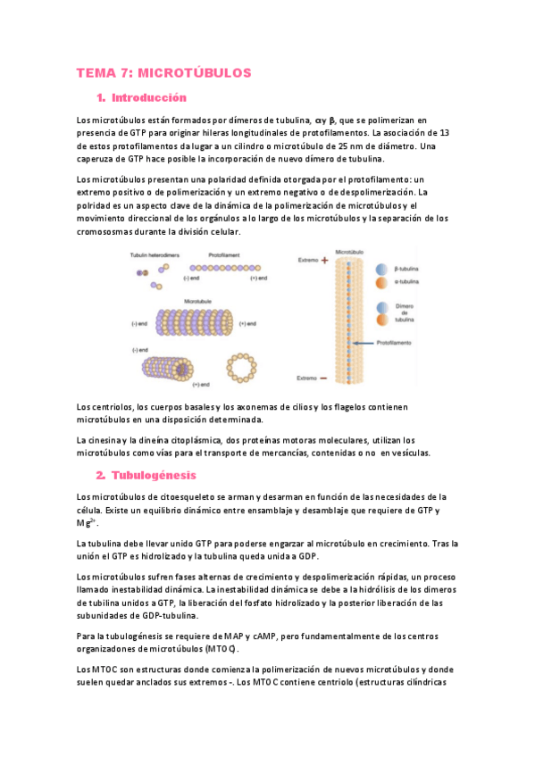 Miniatura del documento TEMA-7.pdf