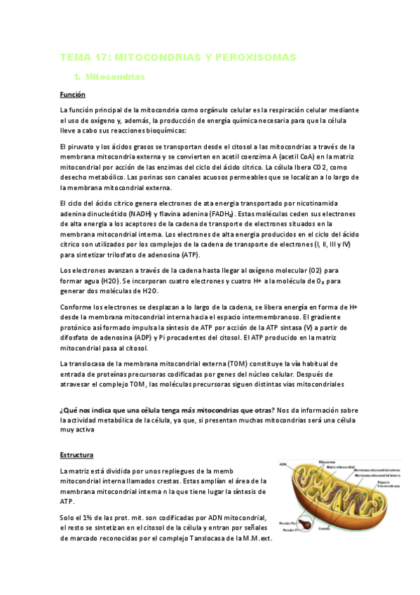 Miniatura del documento TEMA-17.pdf