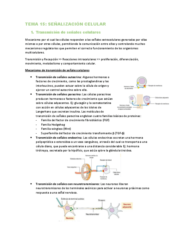 Miniatura del documento TEMA-15.pdf