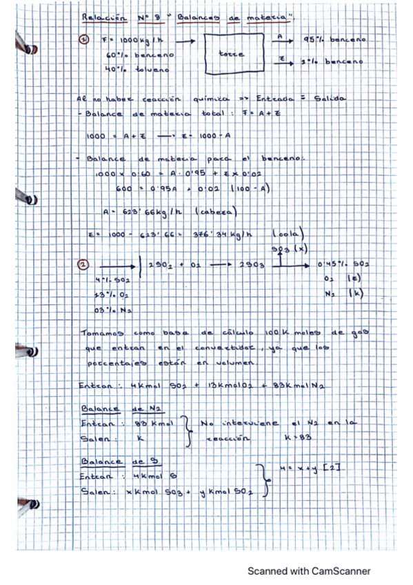 Miniatura del documento Relación Nº 8 (Balances de materia).pdf