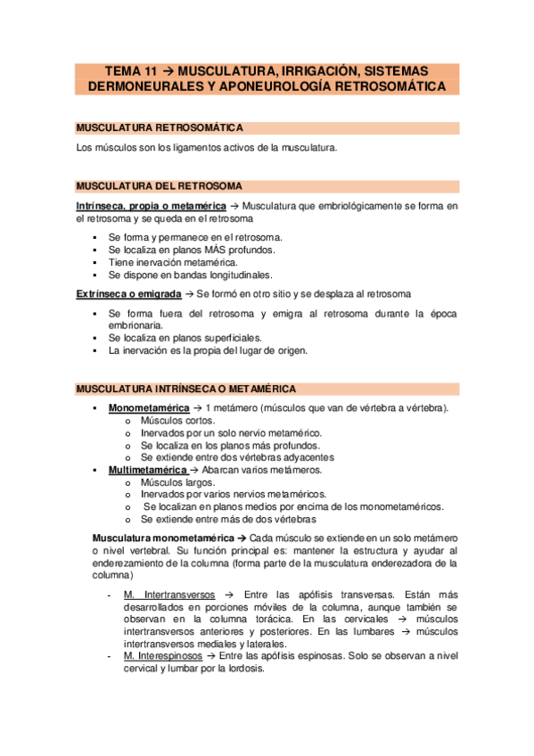 Miniatura del documento Tema-11.-Musculatura-irrigacion.pdf
