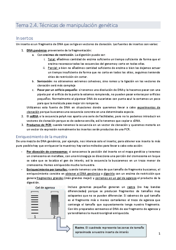 Miniatura del documento tema-2.4.pdf