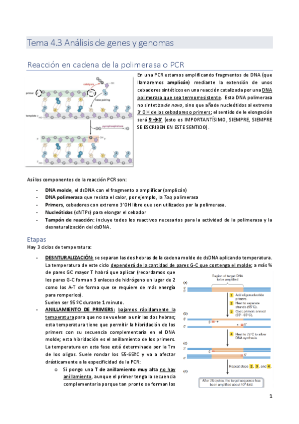 Miniatura del documento tema-4.3.pdf