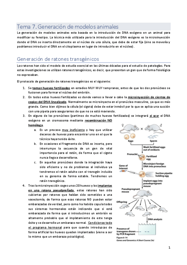 Miniatura del documento tema-7.pdf