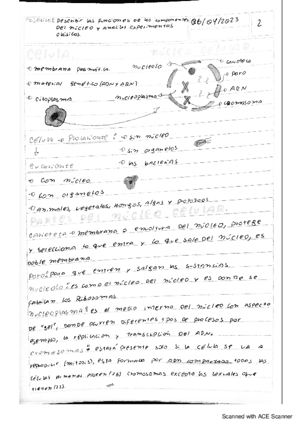 Miniatura del documento apuntes-biologia-partes-del-nucleo-de-la-celula-2do-medio.pdf