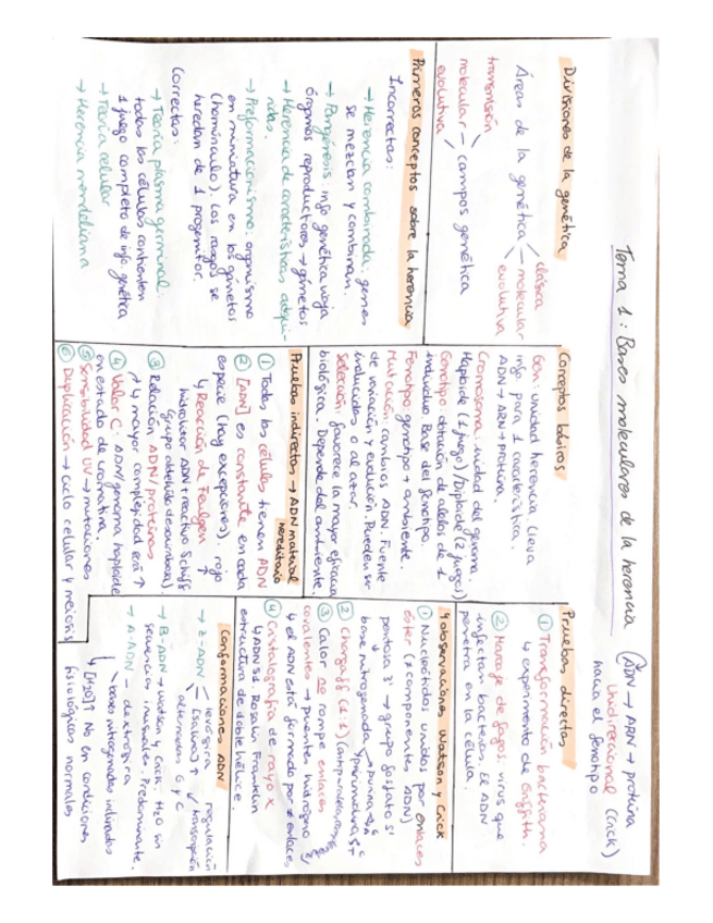 Miniatura del documento resum-1-cara-genetica-primer-parcial.pdf