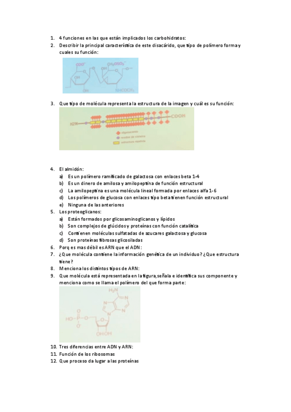 Miniatura del documento preguntas-pepa.pdf