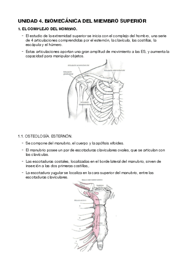 Miniatura del documento BIOMECANICA-MIEMBRO-SUPERIOR.pdf