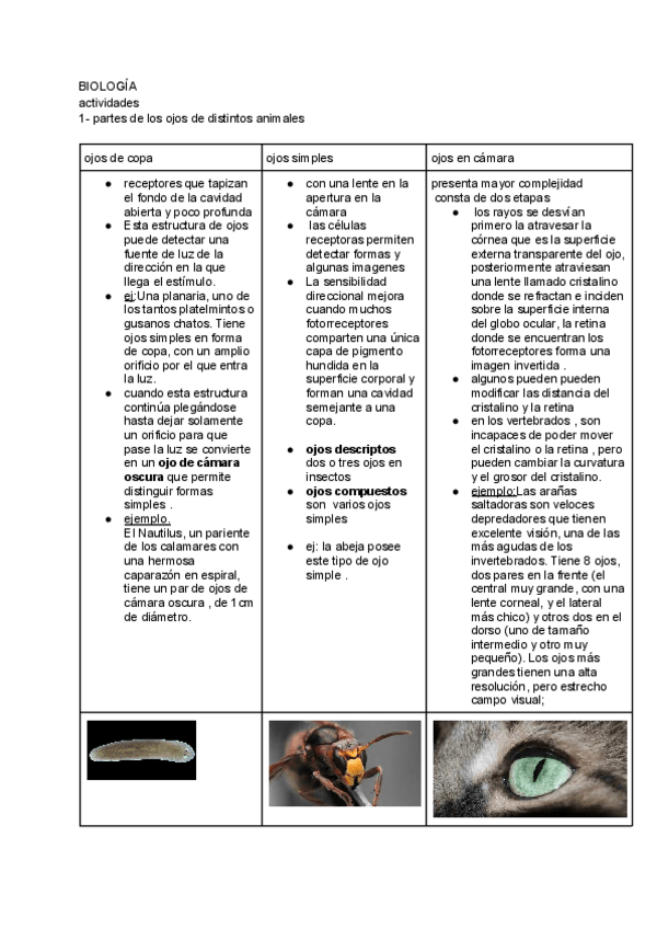 Miniatura del documento OJOS-DE-ANIMALES-Y-SU-EVOLUCION.pdf