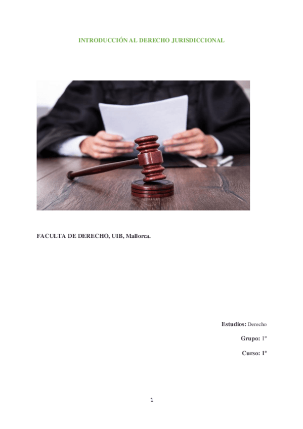 Miniatura del documento Sentencia-introduccion-derecho-jurisdiccional.pdf