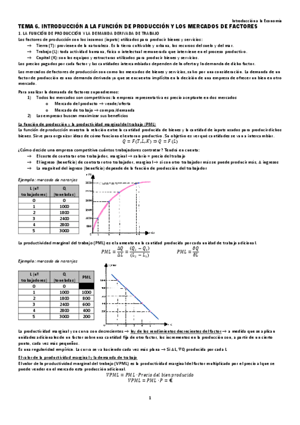 Miniatura del documento TEMA-6-INTRODUCCION-A-LA-FUNCION-DE-PRODUCCION-Y-LOS-MERCADOS-DE-FACTORES.pdf