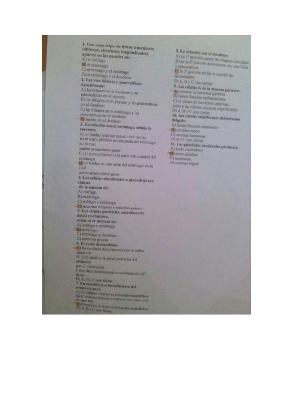 Miniatura del documento examen-tipo-test.pdf