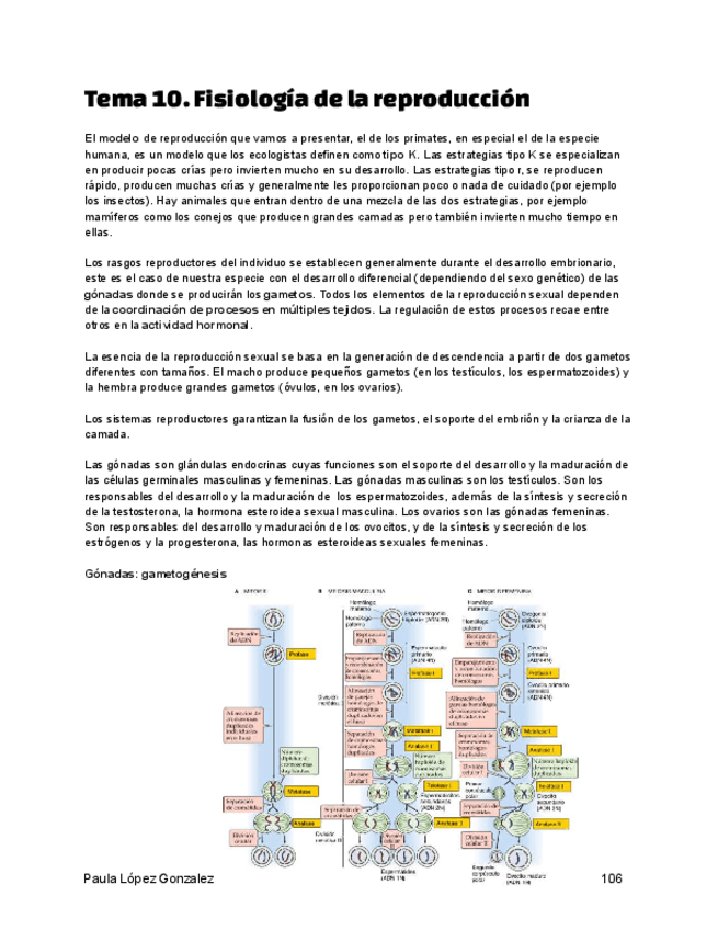 Miniatura del documento Tema-10.-Fisiologia-de-la-reproduccion.pdf