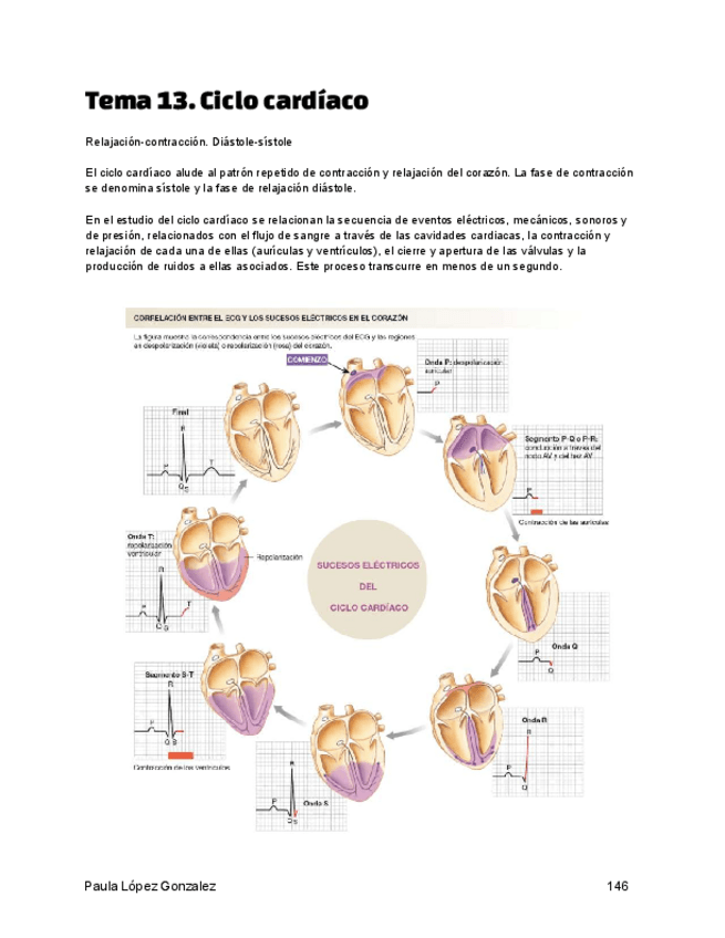 Miniatura del documento Tema-13.-Ciclo-cardiaco.pdf