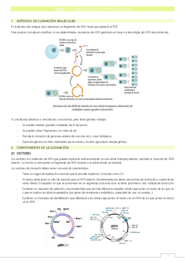 Miniatura del documento T7 Clonación-de-ácidos-nucleicos.pdf