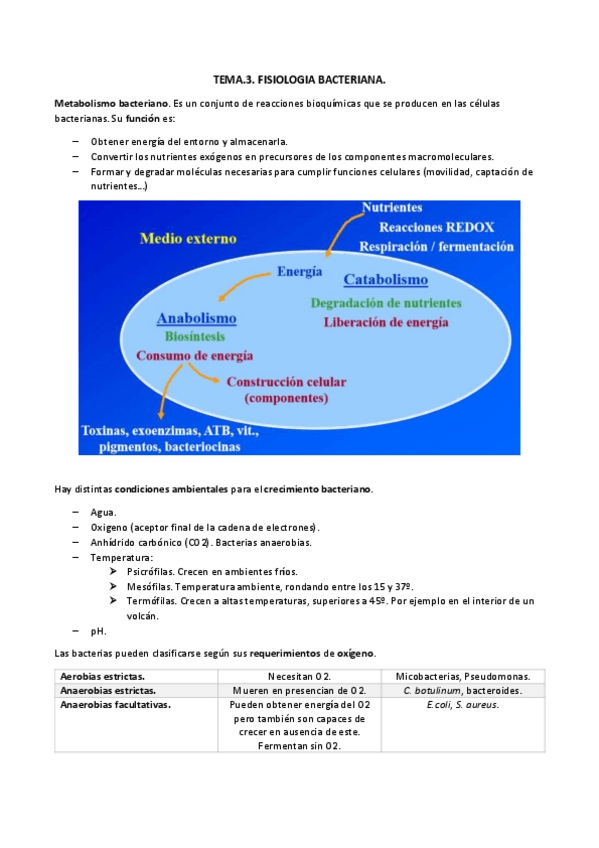 Miniatura del documento TEMA.3 metabolismo bacterianodocx.pdf