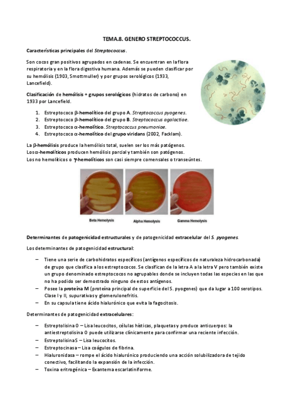 Miniatura del documento TEMA.8. estreptococo docx.pdf