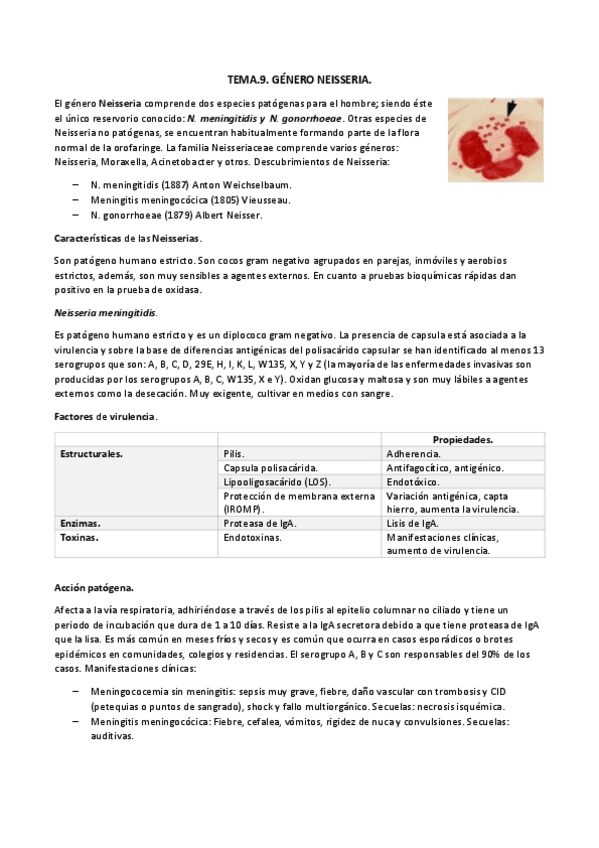 Miniatura del documento TEMA.9. neisseria docx.pdf