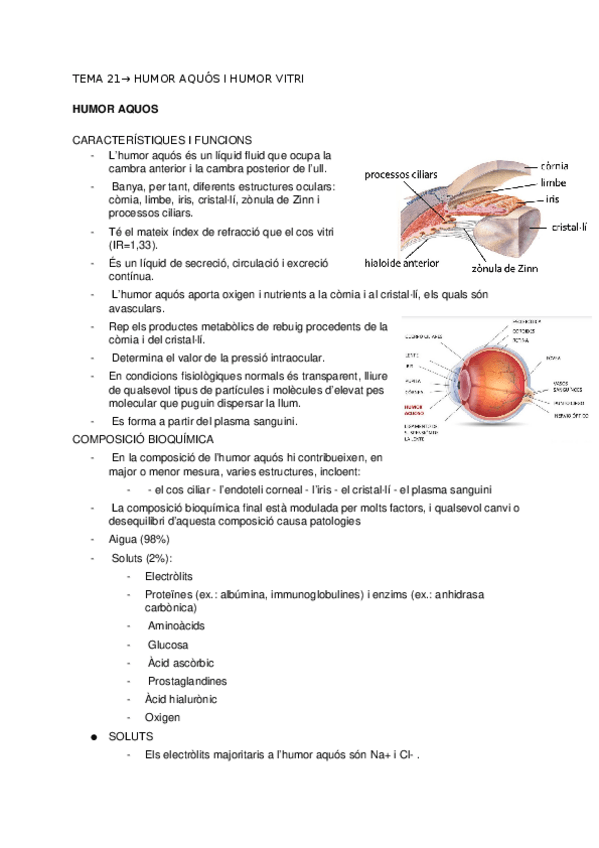 Miniatura del documento TEMA-21-HUMOR-AQUOS-I-HUMOR-VITRI.docx