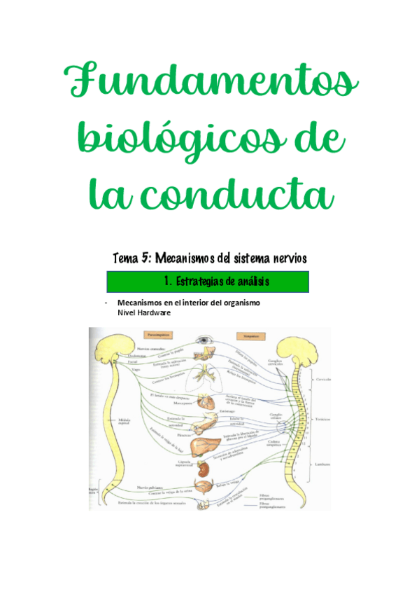 Miniatura del documento Tema-5.pdf
